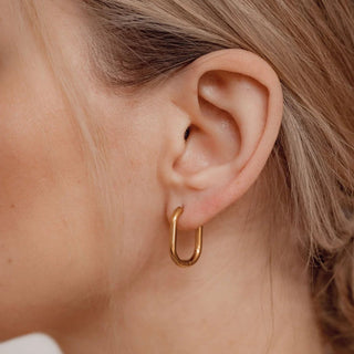 Micara - Elegant Oval - Ohrringe - Ohrringe - Gold - Müller Mode