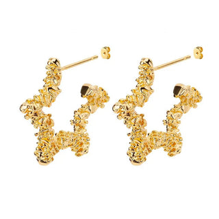 Micara - Starlight Hoops - Ohrringe - Ohrringe - Goldstern - Müller Mode