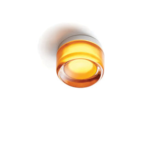 Vivid - Stilvolle Beleuchtung - Wandleuchte - Gold - Müller Mode
