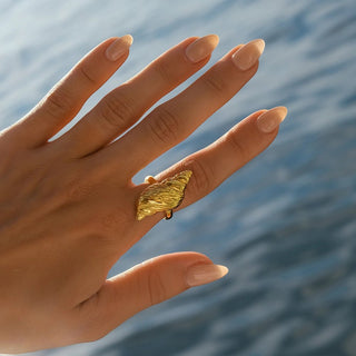 Micara - Nautilus Shell - Ringe - Ringe - Gold - Müller Mode
